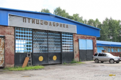 В Назаровском районе в рамках процессуальной проверки о невыплате заработной платы погашена заложенность перед работниками птицефабрики